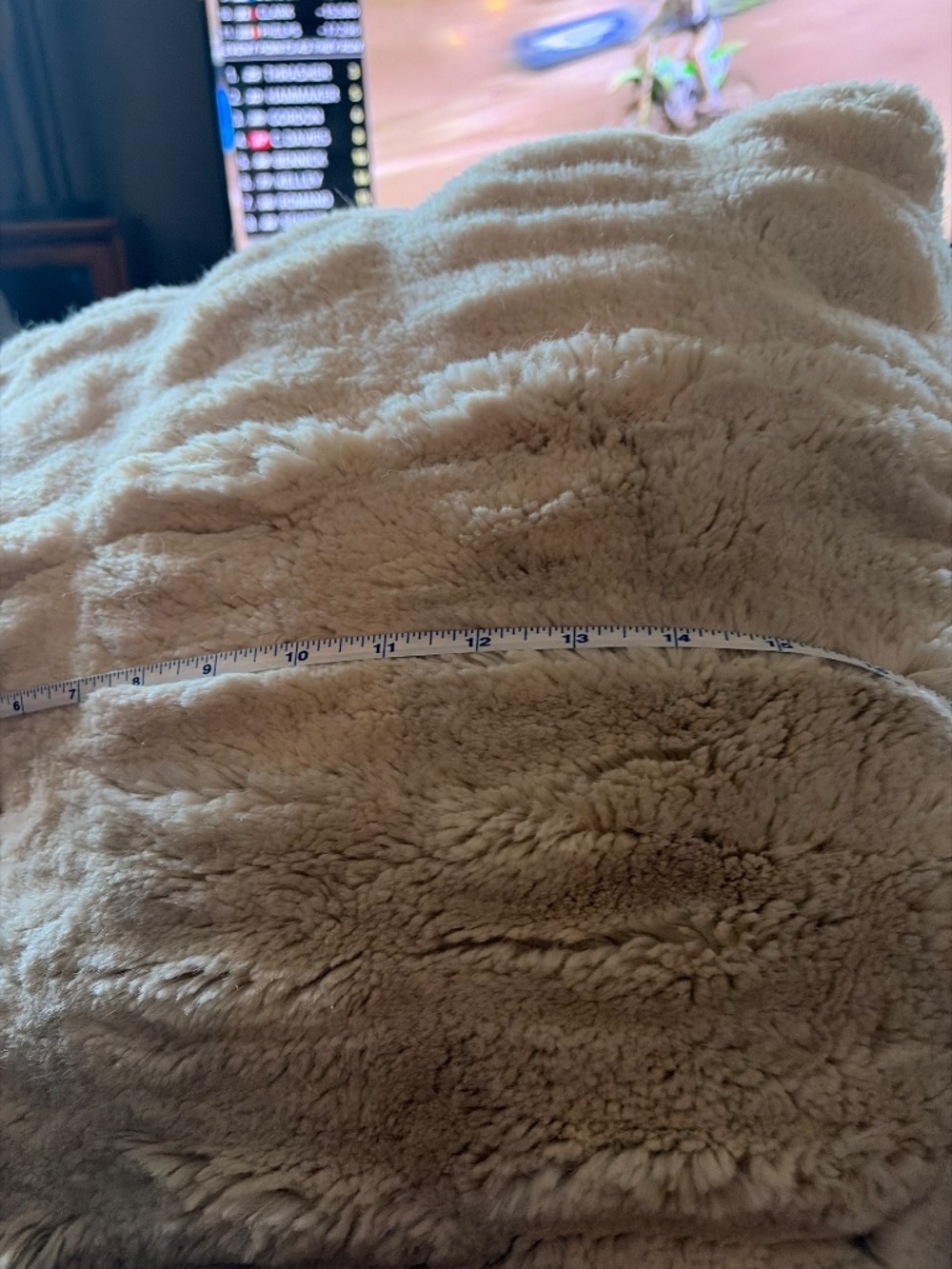 Pottery Barn Pillows - Picture 10 of 12